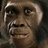 australopithecus