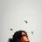 unfinished_sentenc