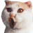 thephantomist