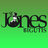 JonesBigutis1998