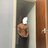 Astroabhi_6969