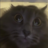 cptrted