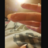 froginsnow2