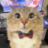 test44