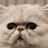 ElderCat