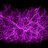 filaments111