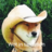 dogedogeman22