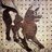 Cave Canem
