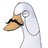 beard_goose