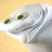 sockpuppet1947