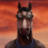 Bojqck