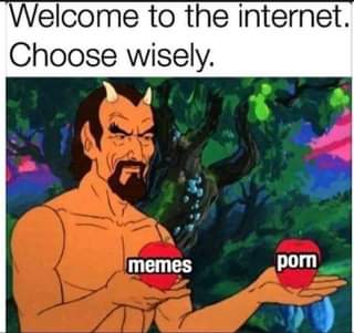 240299530_1961545467341125_914555995875794105_n.jpg