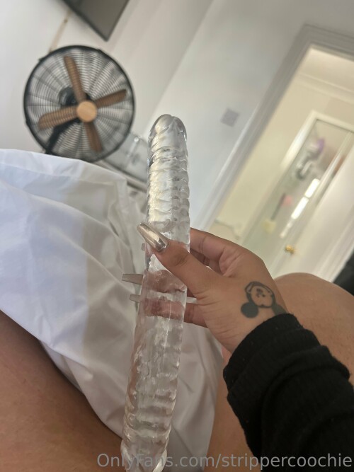 Mel Farahmand / strippercoochie Nude Leaked Onlyfans Photo Mel Farahmand / strippercoochie Nude Leaked Onlyfans Photo