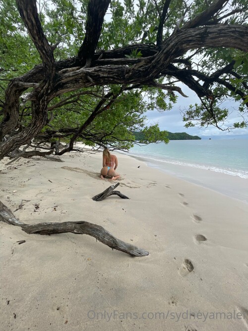 3024x4032_151a02176095a8c2f92601c3171de03b.jpg