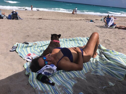 Persia Monir Nude Leaked Onlyfans Photo Persia Monir Nude Leaked Onlyfans Photo
