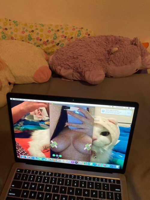 Fattestcat / Uwannacum2 / Rachel Casino Nude Leaked Onlyfans Photo Fattestcat / Uwannacum2 / Rachel Casino Nude Leaked Onlyfans Photo