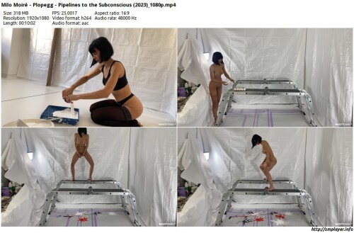 Milo-Moire---Plopegg---Pipelines-to-the-Subconscious-2023_1080p_preview.jpg