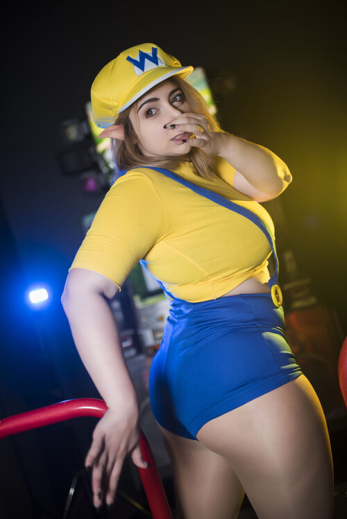 Momokun---Wario_2039135-0001.jpg
