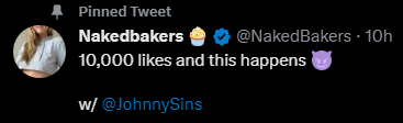 Nakedbakers--NakedBakers-Twitter.png