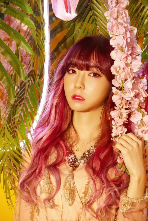 Sora-19f20bb41fbffe4ef.md.jpg