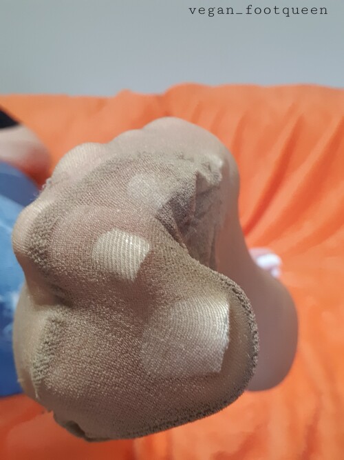Vegan_footqueen Nude Leaked Onlyfans Photo Vegan_footqueen Nude Leaked Onlyfans Photo