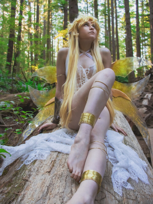 Forest-Fairy--Vega17cd21ce078335971f.md.jpg