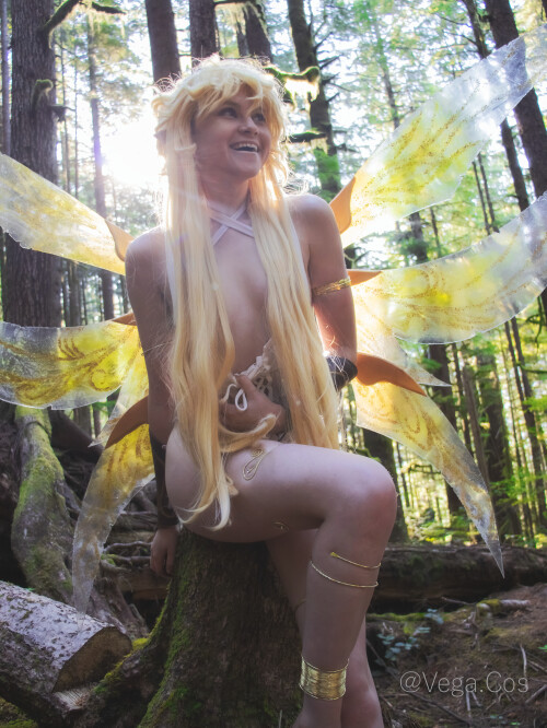 Forest-Fairy--Vega20ff10fe9424f4b27d.md.jpg