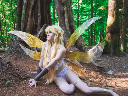 Forest-Fairy--Vega24f3208ceddf2ab686.md.jpg