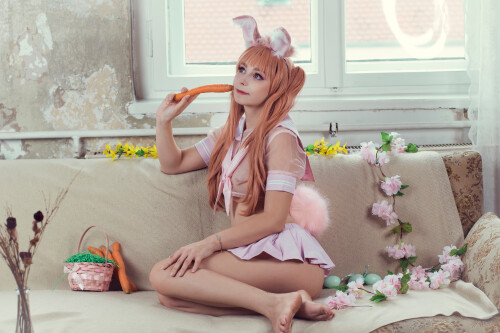 bunny-10-syf17O986541b08c7148f81614be0a4f434ead.md.jpg