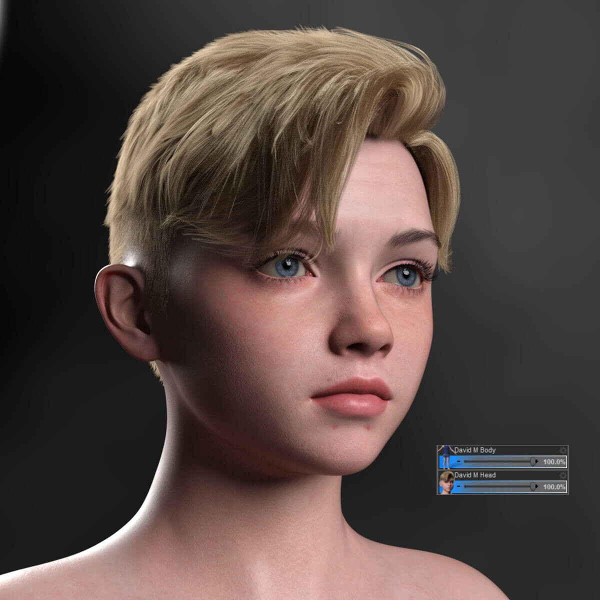 david m morph for genesis 9 014ba63aebd6e90856