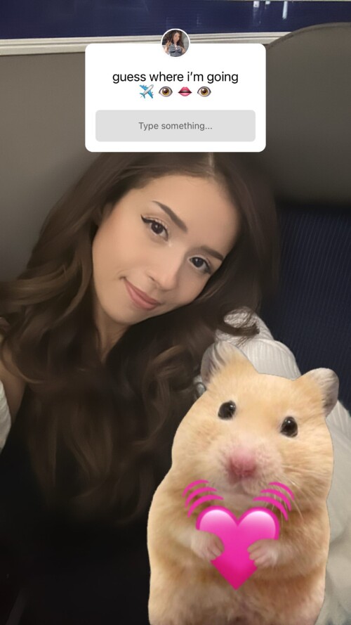 pokimanelol_331245196_574363484611777_2112107303373074562_n9f9c7742a0b3686b.jpg