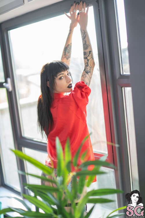 MissFernandez Nude Leaked Onlyfans Photo MissFernandez Nude Leaked Onlyfans Photo