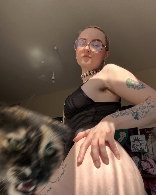 KAT 13ptx 133ptx Nude Leaked Onlyfans Photo KAT 13ptx 133ptx Nude Leaked Onlyfans Photo