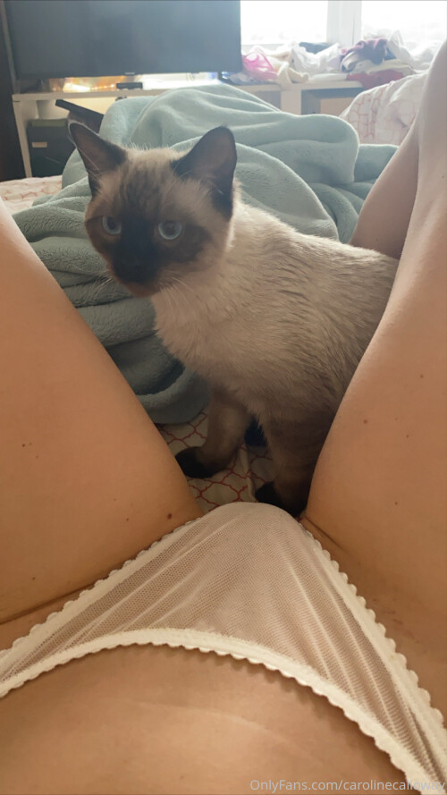 caroline calloway Nude Leaked Onlyfans Photo caroline calloway Nude Leaked Onlyfans Photo