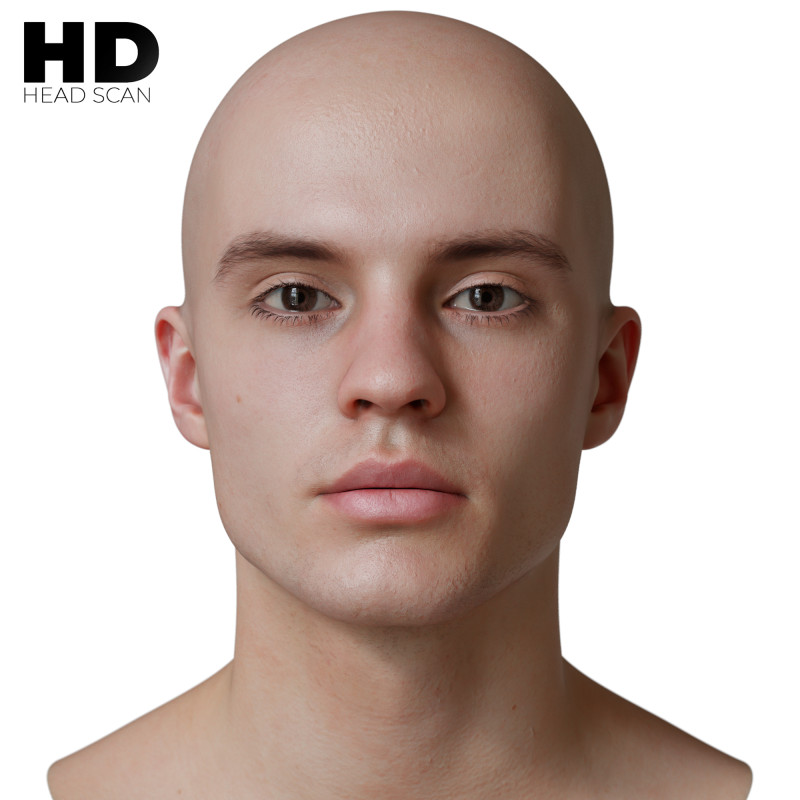 13 3D Head Model