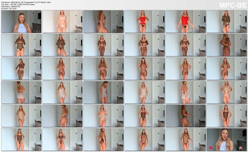 2024-08-23_4K-Transparent-Try-On-Haul.mp4_thumbs1c3732dc3a5de50e.jpg