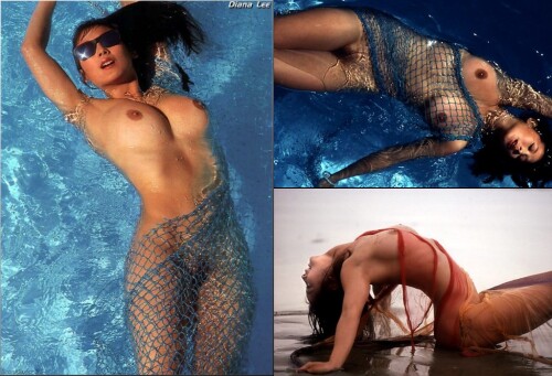 22149_May_88_Diana_Lee_2_123_702lo132744fa4527b003.md.jpg