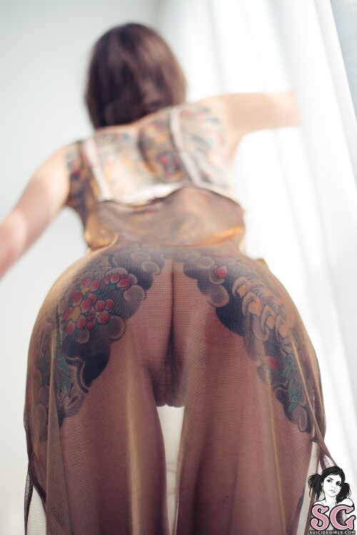 MissFernandez Nude Leaked Onlyfans Photo MissFernandez Nude Leaked Onlyfans Photo