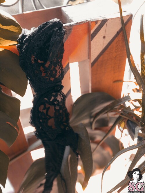 Julz.Implied Nude Leaked Onlyfans Photo Julz.Implied Nude Leaked Onlyfans Photo
