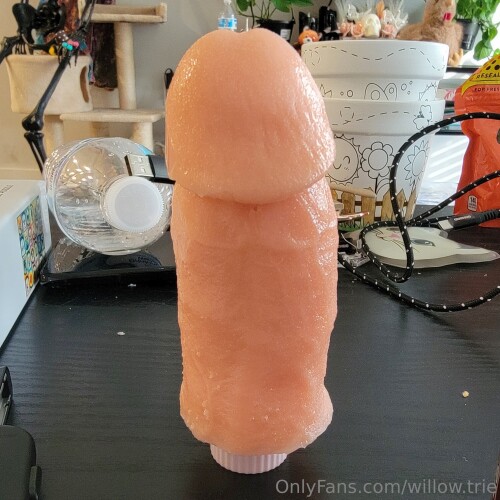 Willow.Trie Nude Leaked Onlyfans Photo Willow.Trie Nude Leaked Onlyfans Photo