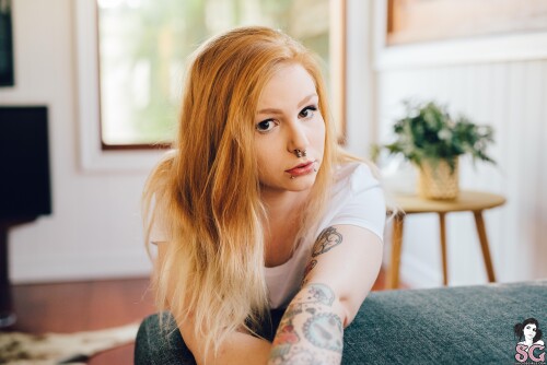 274f1b271b751f850c.jpg