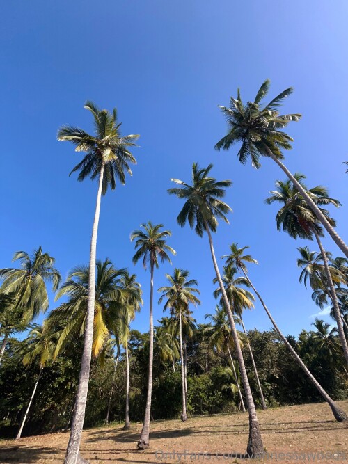 3024x4032_1e42b71b3104b29d88f2fde46dd21b752d0599acb222872c.jpg