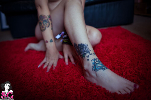 30808f1c91adcdf41e.jpg