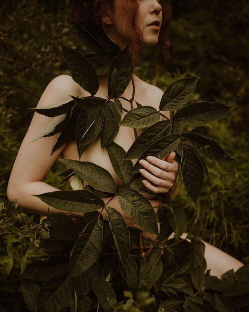 Icelandic Selkie Nude Leaked Onlyfans Photo Icelandic Selkie Nude Leaked Onlyfans Photo