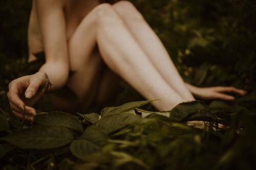 Icelandic Selkie Nude Leaked Onlyfans Photo Icelandic Selkie Nude Leaked Onlyfans Photo