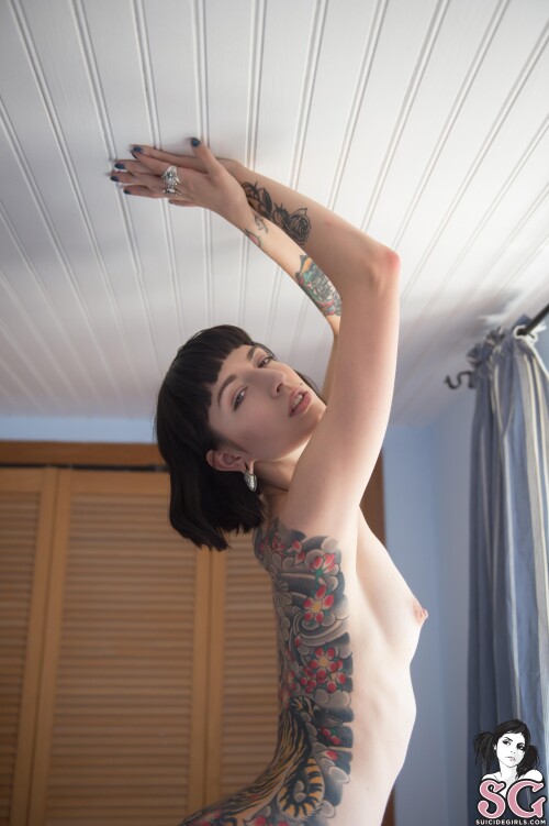 MissFernandez Nude Leaked Onlyfans Photo MissFernandez Nude Leaked Onlyfans Photo