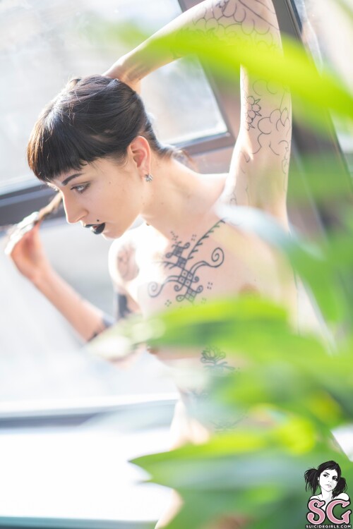 MissFernandez Nude Leaked Onlyfans Photo MissFernandez Nude Leaked Onlyfans Photo