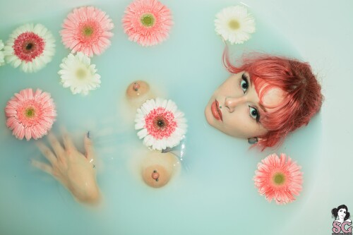 46f027a79feadec35d.jpg