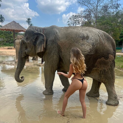 SOZZLEPOPP / devilfairyyy Nude Leaked Onlyfans Photo SOZZLEPOPP / devilfairyyy Nude Leaked Onlyfans Photo