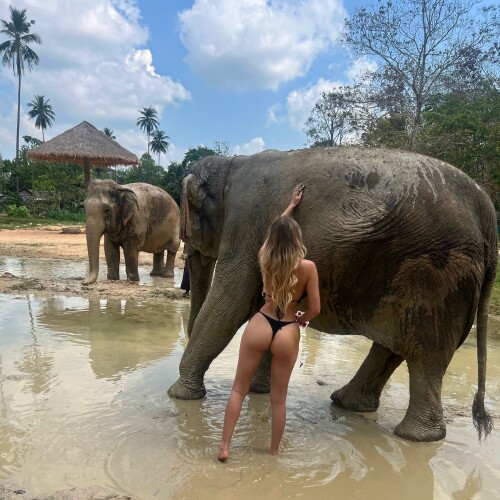 SOZZLEPOPP / devilfairyyy Nude Leaked Onlyfans Photo SOZZLEPOPP / devilfairyyy Nude Leaked Onlyfans Photo